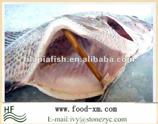 Gutted & Scalled black Frozen Fresh Black Tilapia Fish