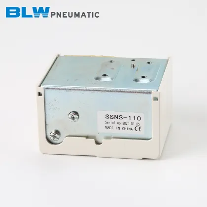 Pneumatic Pressure Controller SSNS-110 Boiler Switch 10 kg Adjustment Pressure Switch