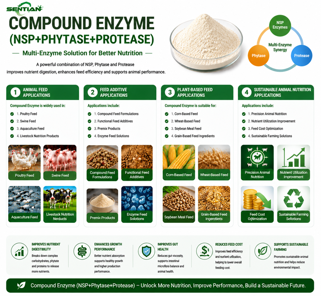 Compound Enzyme