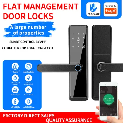 Tuya Smart Home Door Lock