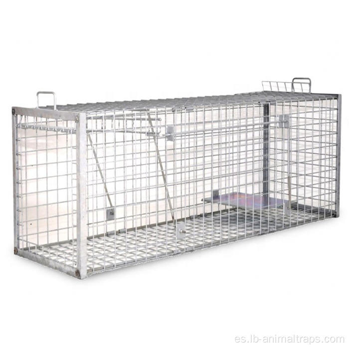 Fox Wild Boar Cage Trap a la venta