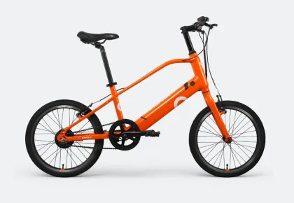 Rear Motor Electric Moped Bike