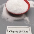 منظم نمو النبات كلوبروب 3-CPA 99%TC
