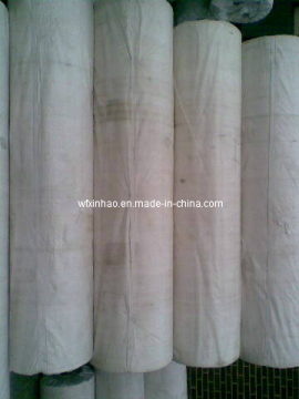 White Woven PP Fabric