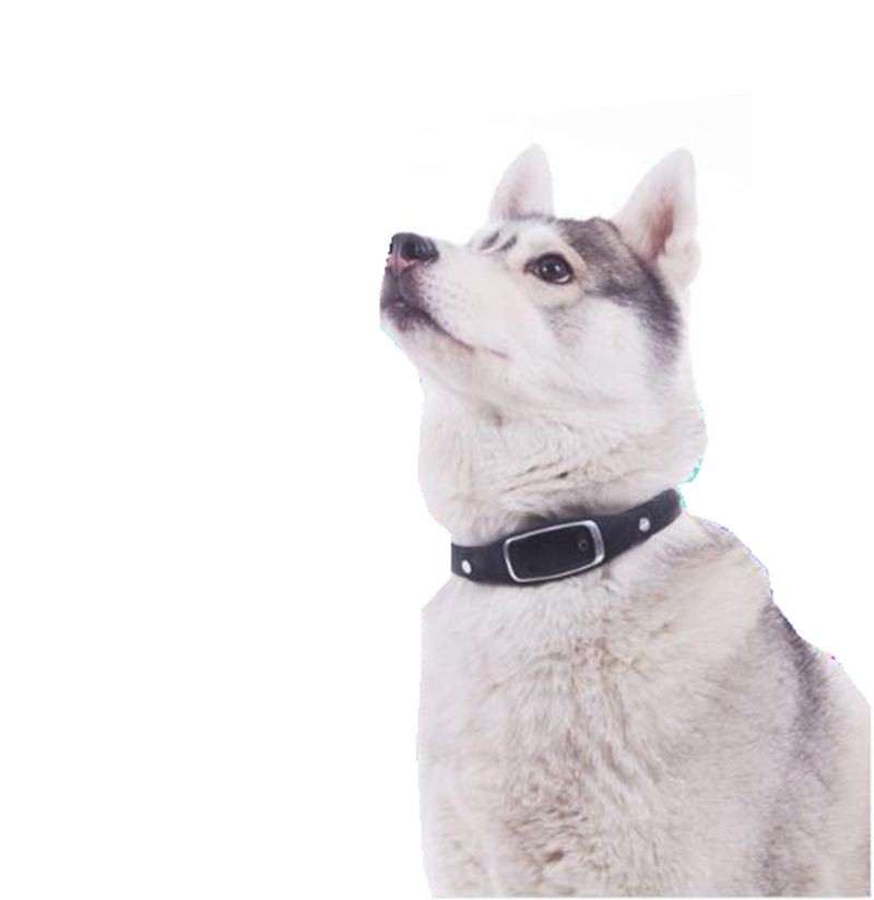 watch design gps tracking device