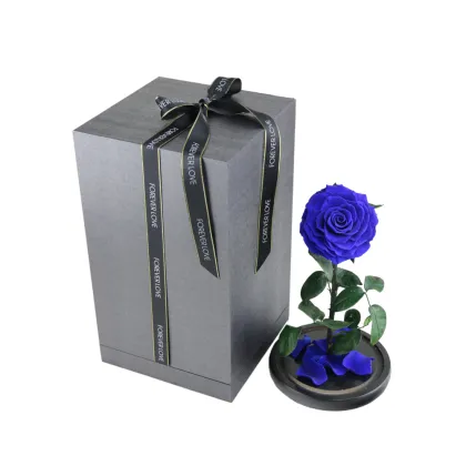 Last 5 Years Glass Cover Preserved Red Rose 'The Little Prince'
