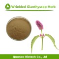 Organic Gianthyssop Agastache Rugosa Extract Pogostemonis