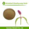 Gianthyssop agastache rugosa extrato pogostemonis