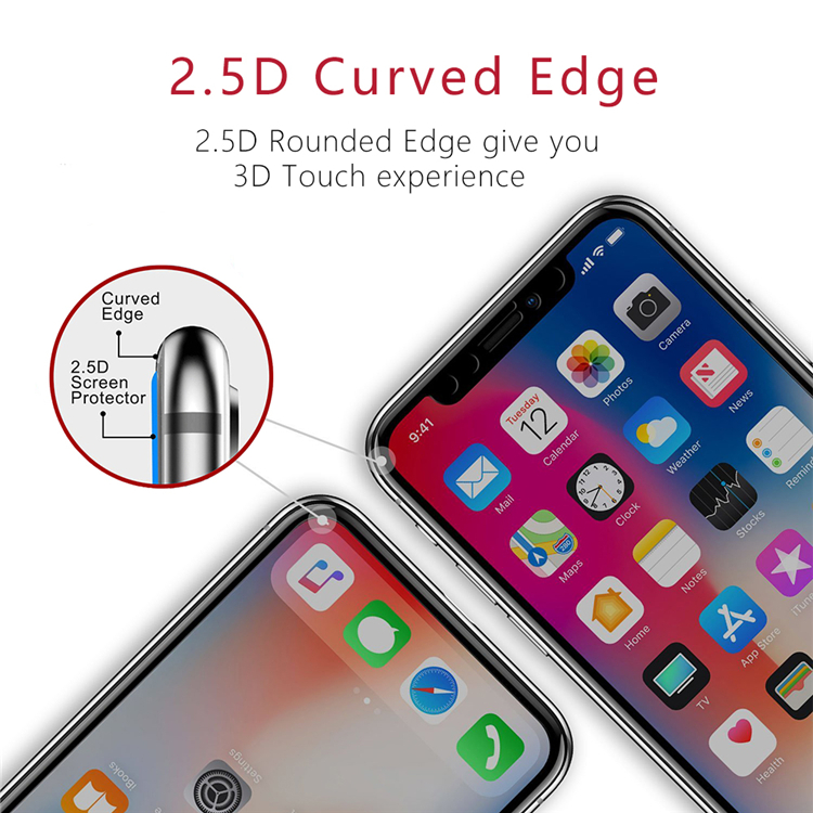 iPhone X Privacy Screen Guard