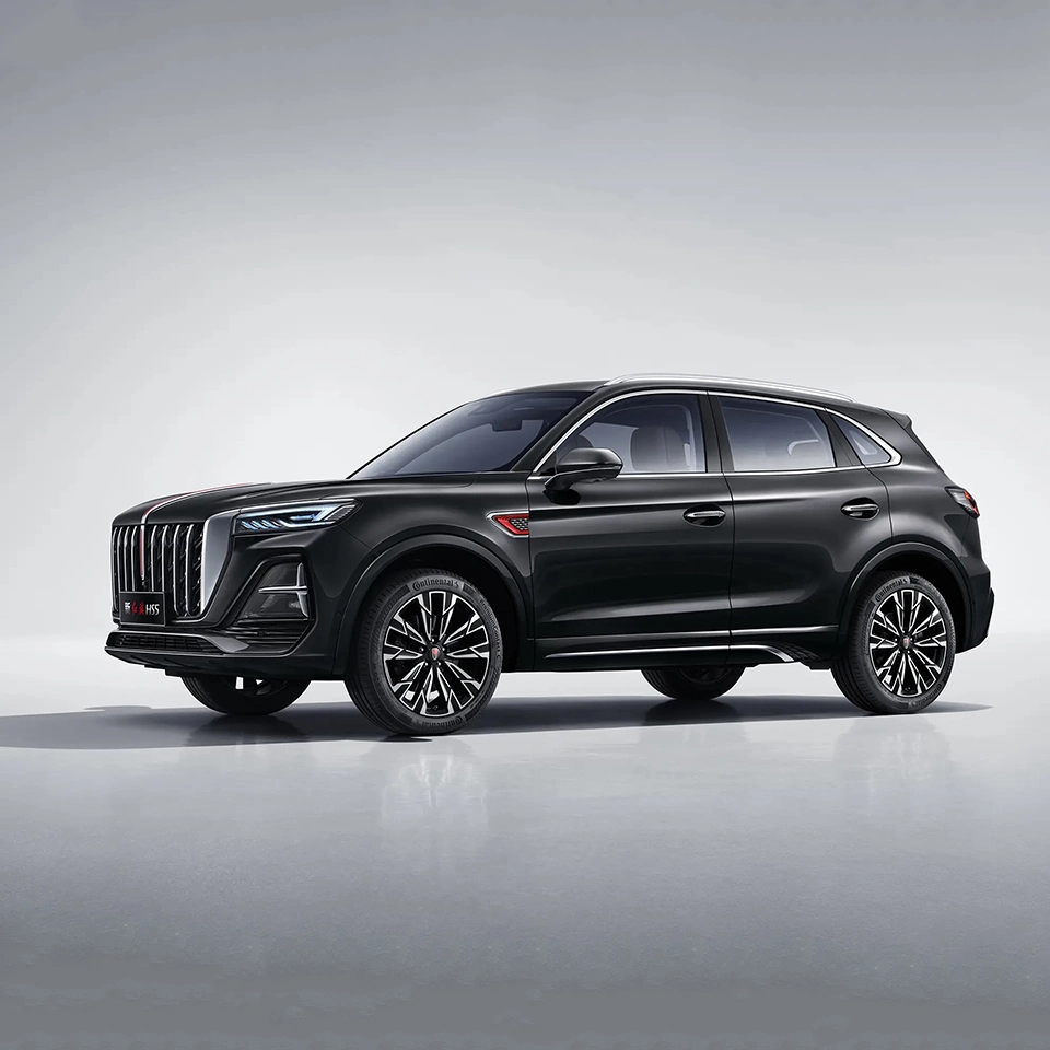 2.0T Gas SUV Car Hongqi HS5 (8)