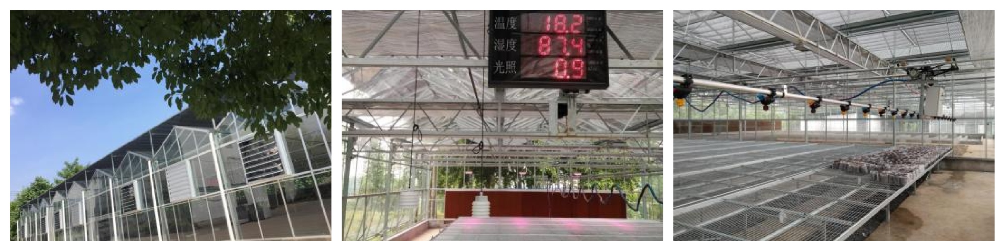 Chongqing Academy of Forestry Sciences Ecological Monitoring Project