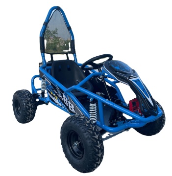 2024 Off Road Buggy for Sale - 500W 48V 20AH Cheap 4 Wheel Sale