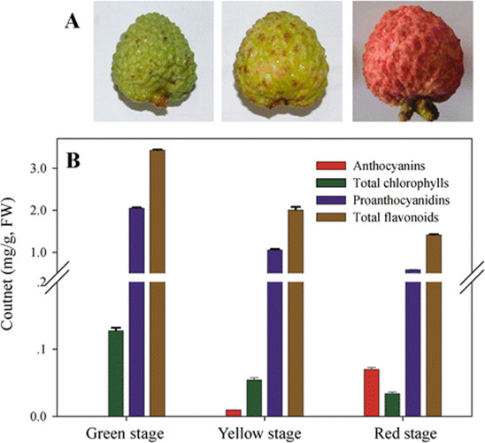 Litchi fruit extract