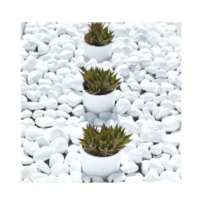 FIRST Stone: River Rock Crushed Stone, White Round Pebbles, Cobbles & Bulk Decorative Pebbles for Gardens and Patios