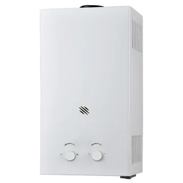 OEM New Design LPG NG Gas Water Heater