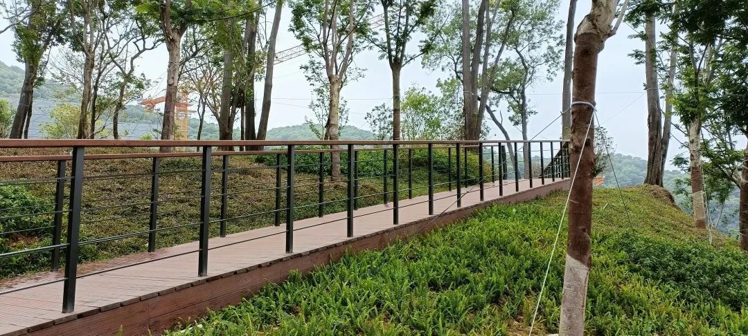 outdoor bamboo handrail