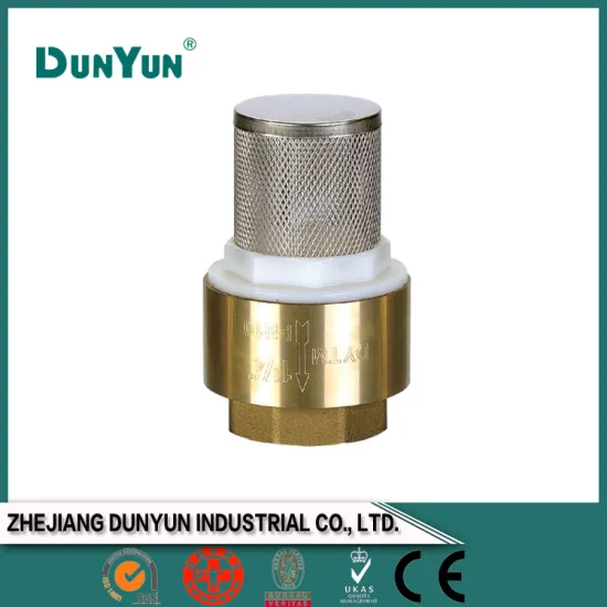 Full size brass foot valve with stainless steel filter/plastic stem