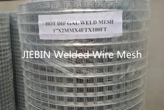 Hot Dipped Galvanized Welded Wire Mesh
