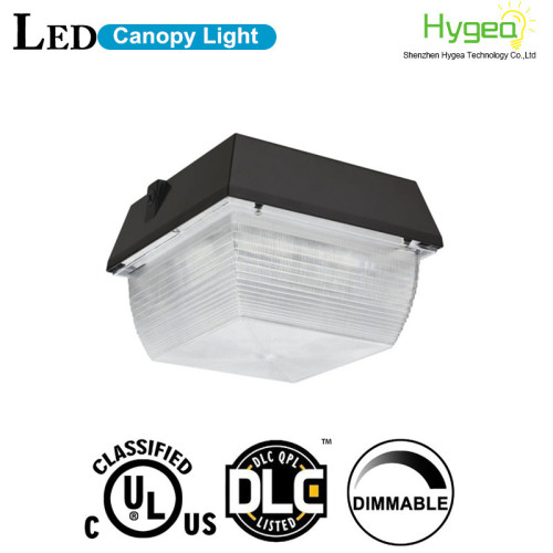 High Performance DLC 40W LED Canopy Light
