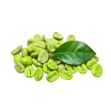 Rhodiola Rosea Extract Green Coffee Bean Extract Chlorogenic Acid 10%-50% Supplier