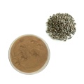 Top quality Bulk chasteberry fruit powder