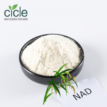NAD Naphthyl Acetamide Plant Growth Regulator