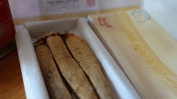 Supreme Quality Shippeng Ginseng