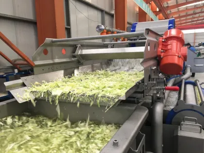 Industrial Washing Line Green Leaf Vegetable Washing Machine