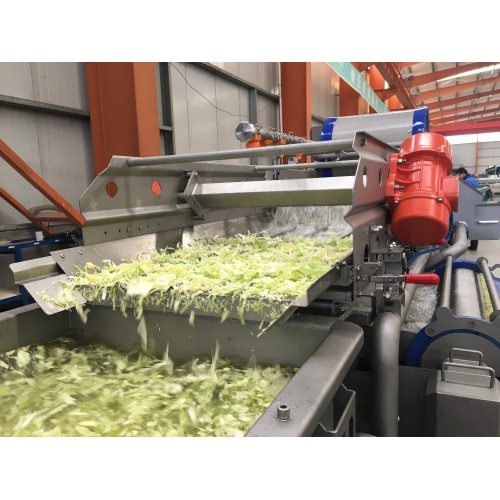 Máquina de lavar alface e processamento de salada