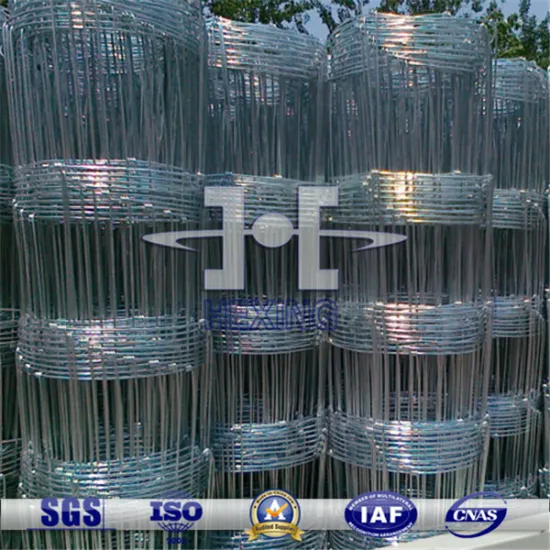 Hot Dipped Galvanized Horse/Cattle Enclosure Grassland Fence Roll