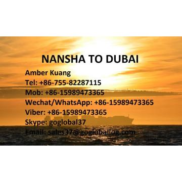 Guangzhou Nansha Sea Freight to United Arab Emirates Dubai
