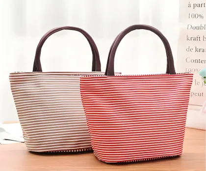 Striped Insulated Lunch Bag - Reusable Shell Design