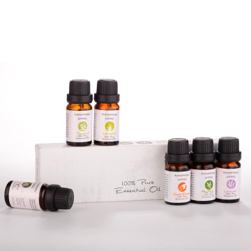 essential oil gift set top 6