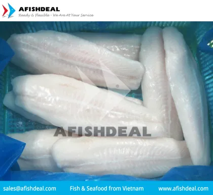 FROZEN PANGASIUS FISH - SWAI -  BASA