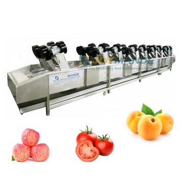 Speed Adjustable Industrial Food Drying Machines: Apple, Apricot, and Tomato Driers