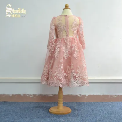 Pink lace mesh long sleeve baby frock style baby dress girls children dress