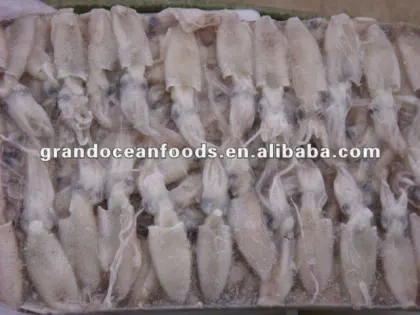 Seafood squid (baby squid)