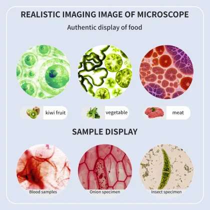 Zoom 2000x Monocular Student Microscope for Kids - Educational Lab Scope