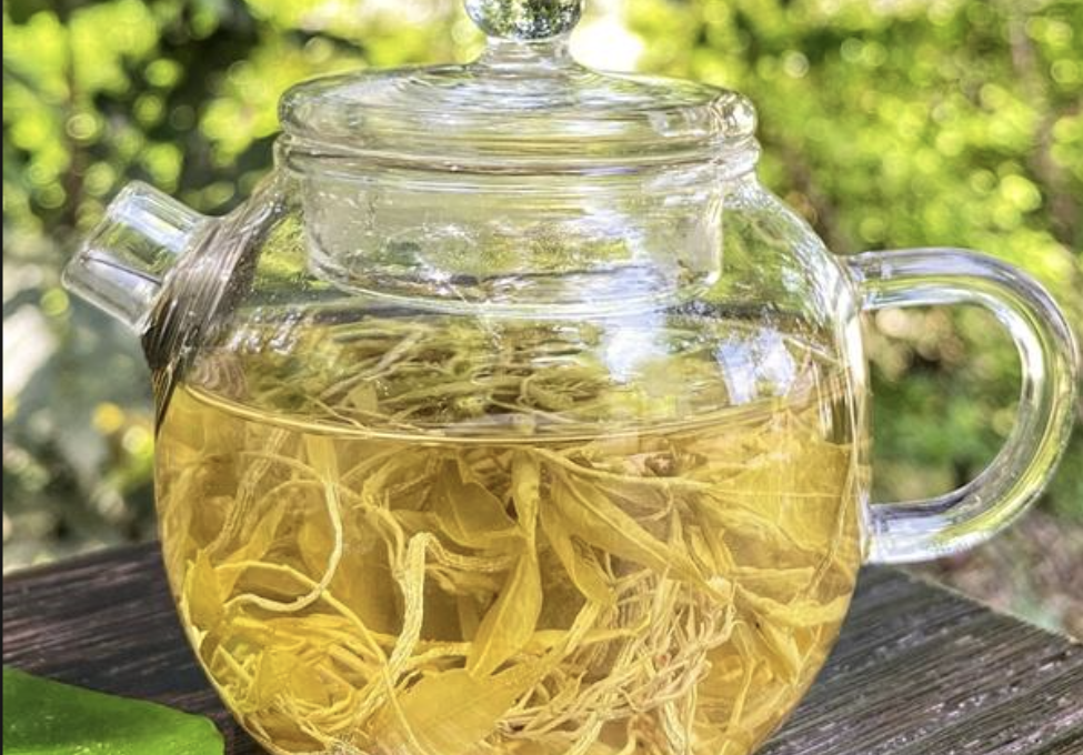 Vine Tea Extract Supplier