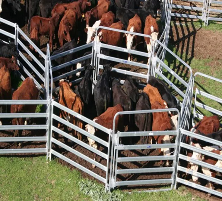 Paneles de valla de ganado de vacas de ganado a la granja de Australia