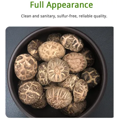 Log Tea Flower Mushroom