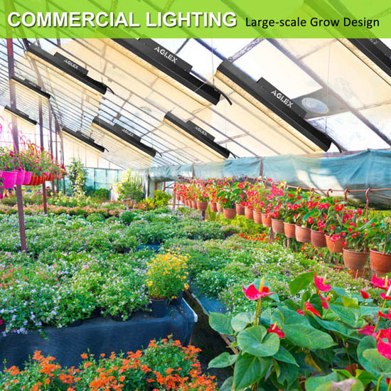 Vertical farm plant grow light strips indoor plants