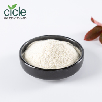 Chitosan Powder (high-density) DAC 90%min