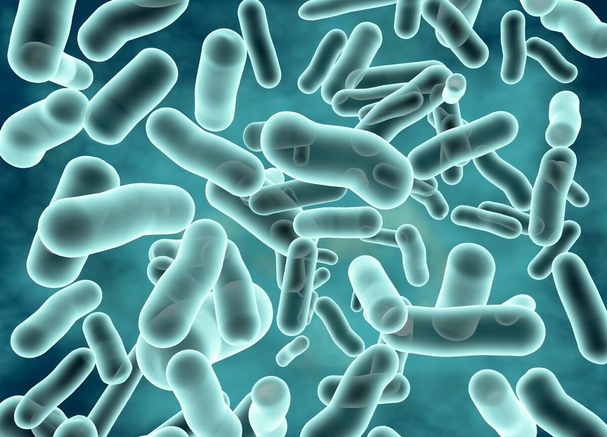 probiotic