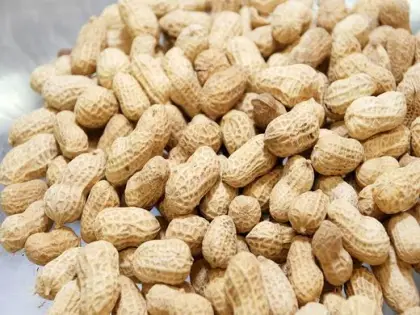 PEANUTS IN SHELL