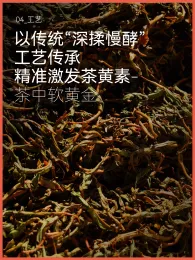 Handcrafted Yunnan Dianhong Golden Spiral Black Tea Delight