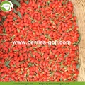 New Harvest Super Food Seco Raw Goji Berries