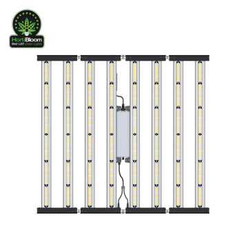 Hydroponics Hortibloom 1000W 10 Bar Samsung LM301 LED Grow Lights - US Stock" 

(Note: There seems to be a minor typo in your original text; I assume you meant "LM301" instead of "LM281 301" based on common LED grow light models.)