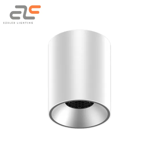 EZELED Trending Style Adjustable Angle IP20 Ceiling Home Down Light