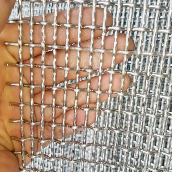 1cm Aperture Galvanized Square Hole Woven Wire Mesh Rolls for Aviary: High-Quality Products for Your Bird Enclosure Needs